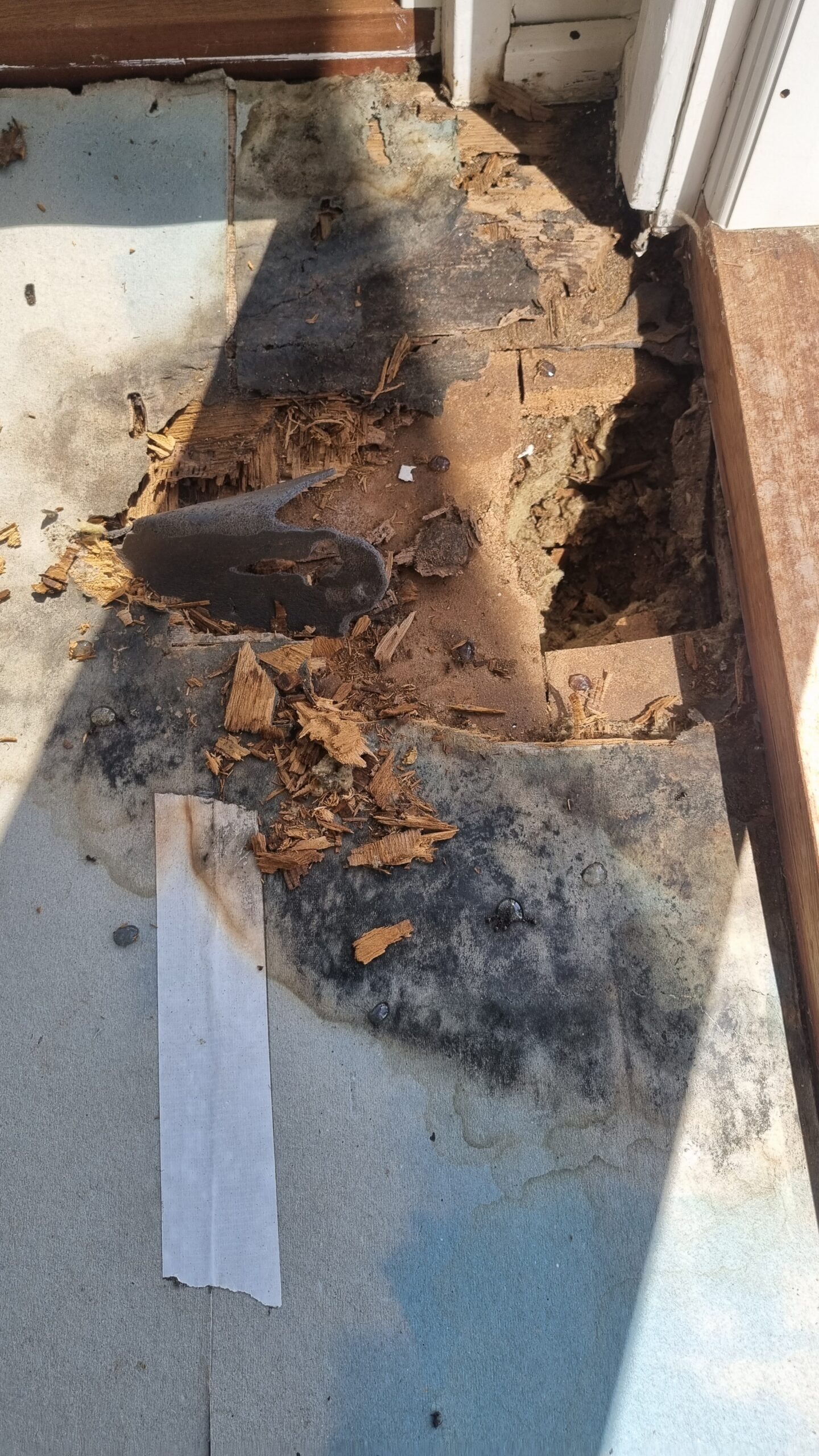 Fugtskade i gulv forårsaget af slavemyre